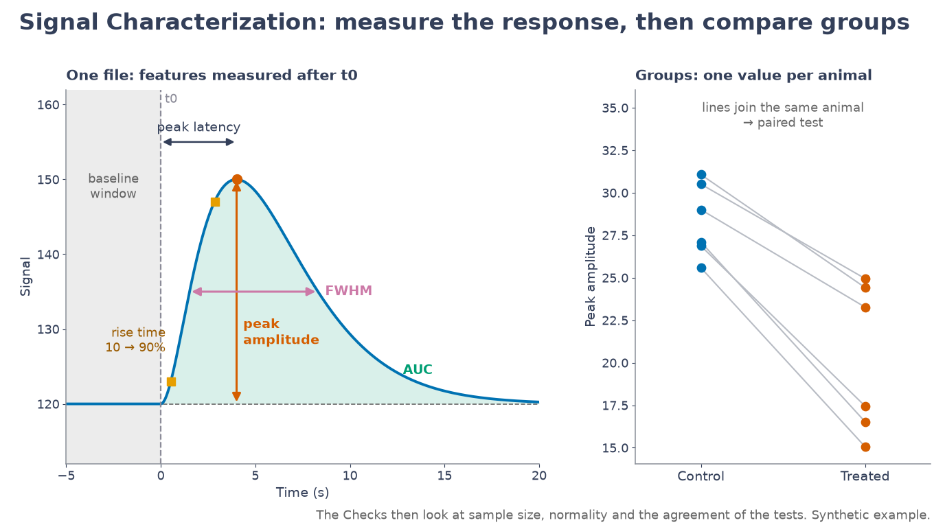 Features measured after t0 (baseline window, peak amplitude and latency, rise time, FWHM, AUC), then one value per animal compared between groups.