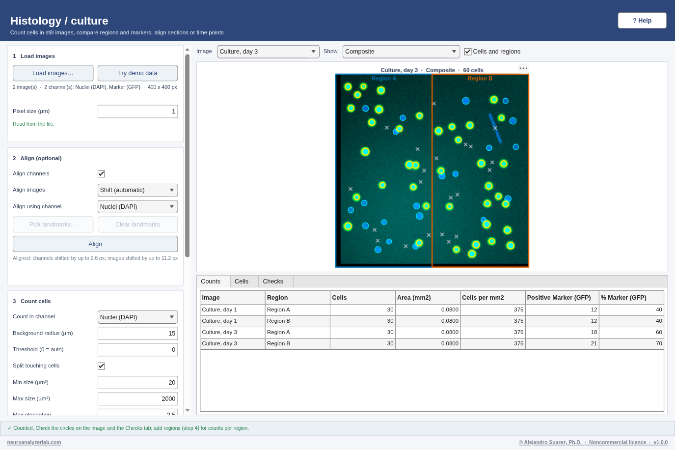 Histology / culture on the demo data: counted cells and the two regions on day 3.